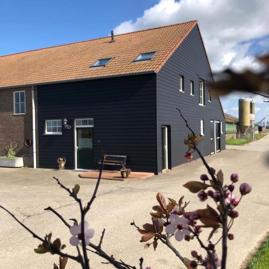 Appartement De Graanzolder Aan Zeeuwse Kust Hoofdplaat Eksteriør bilde